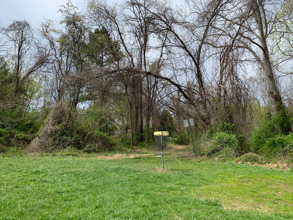 Hole 1 basket