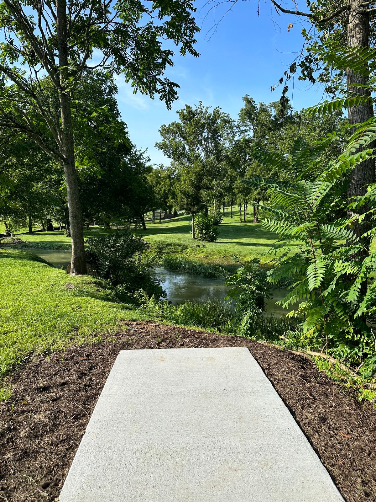 Hole 3 tee