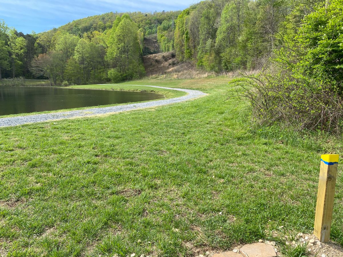 Hole 7. Simple shot. Pond to the left. Should be easy to avoid.