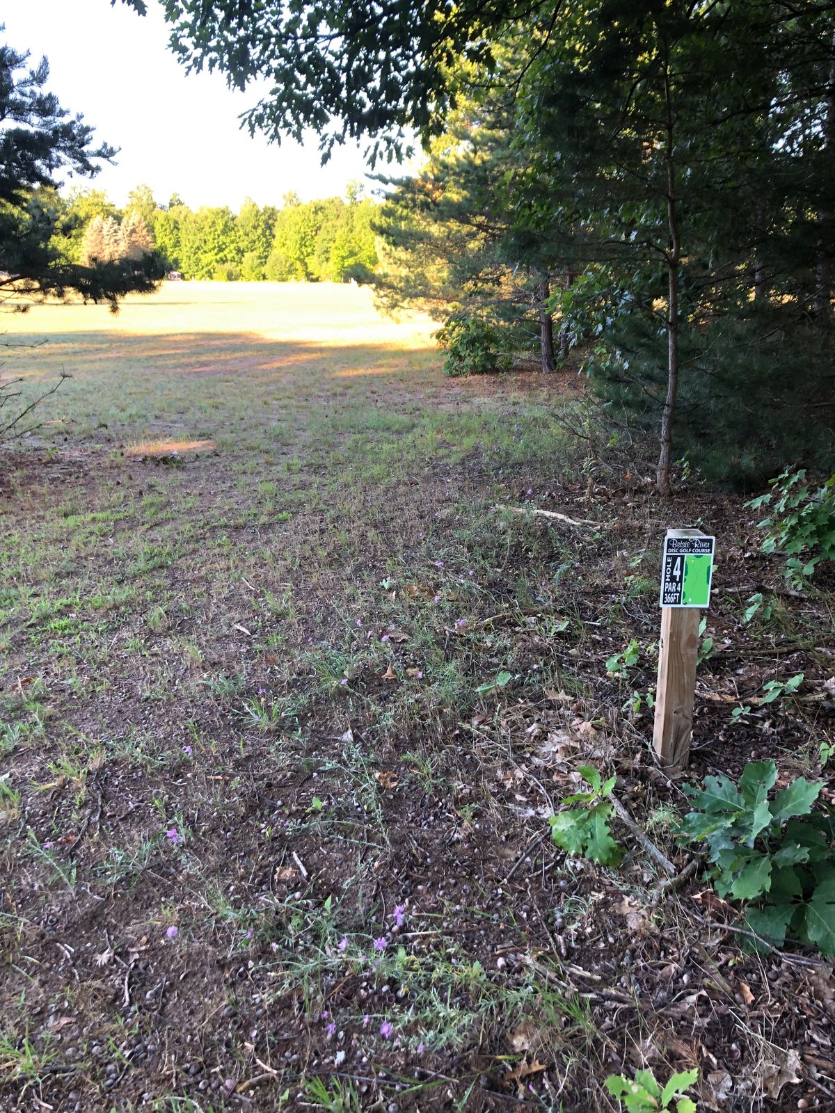 Hole 4