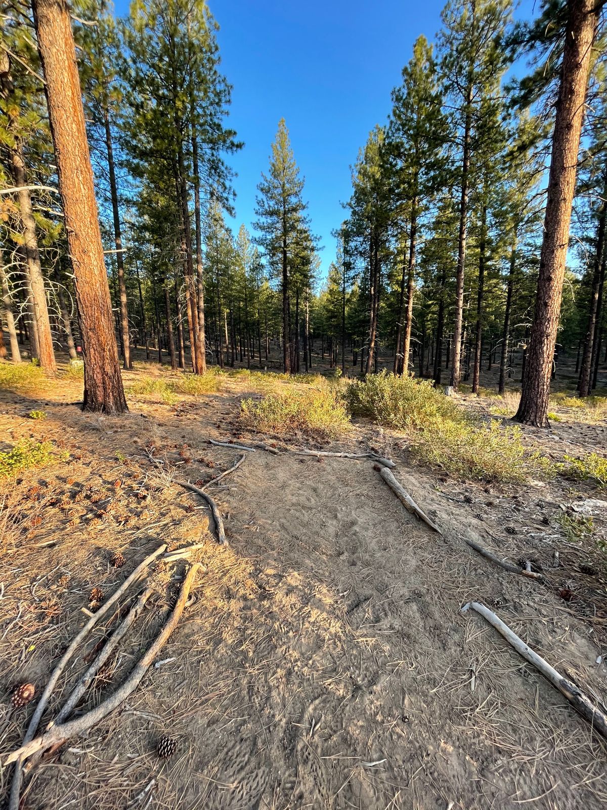 Hole 1 tee box