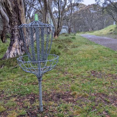 9th basket off to right of trail. 9th tee is down the hill to the right.