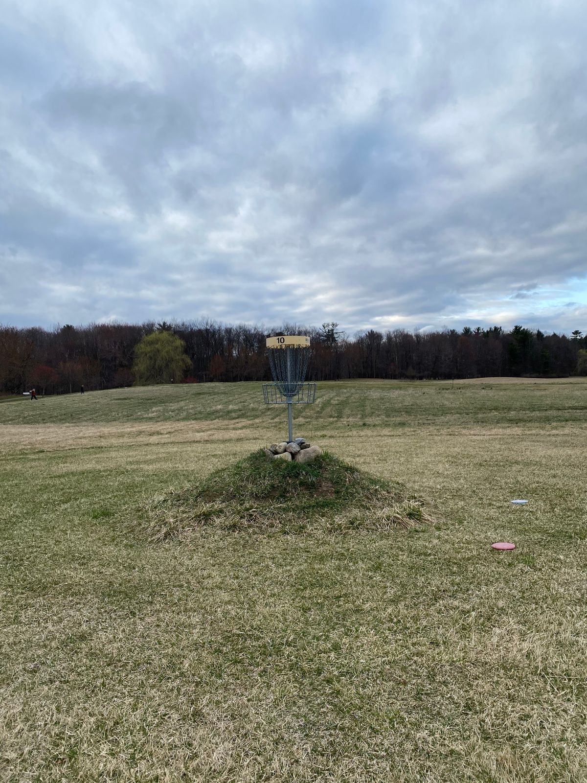 Hole 10 basket