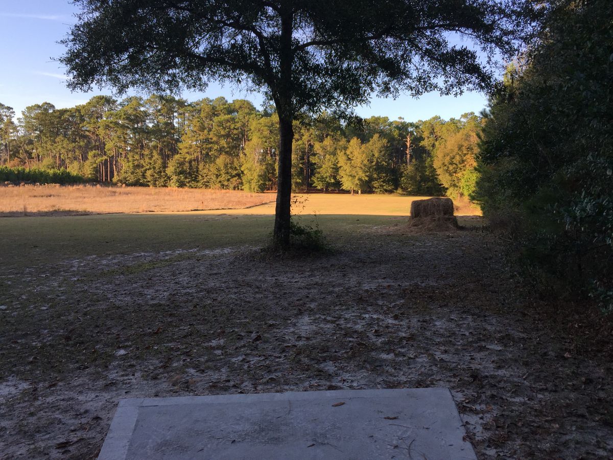 Hole 5