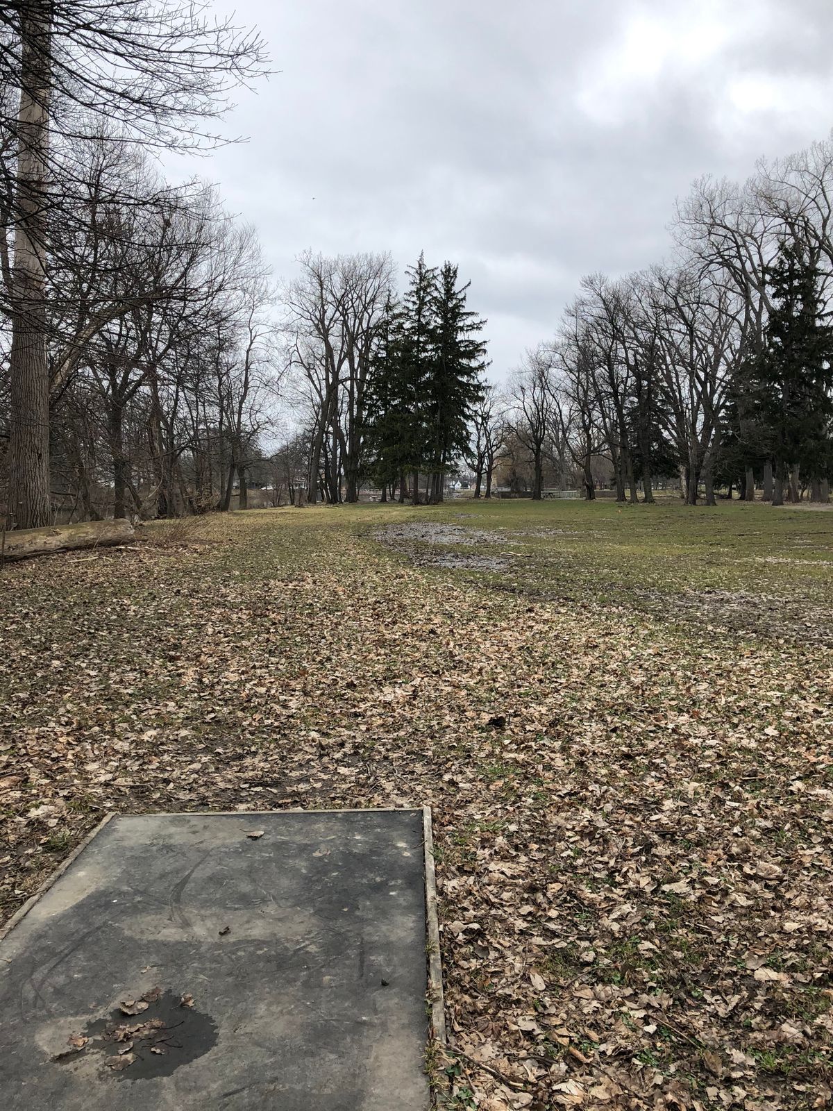 11 th tee