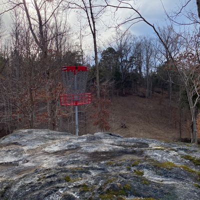 Hole 6 rocky basket location