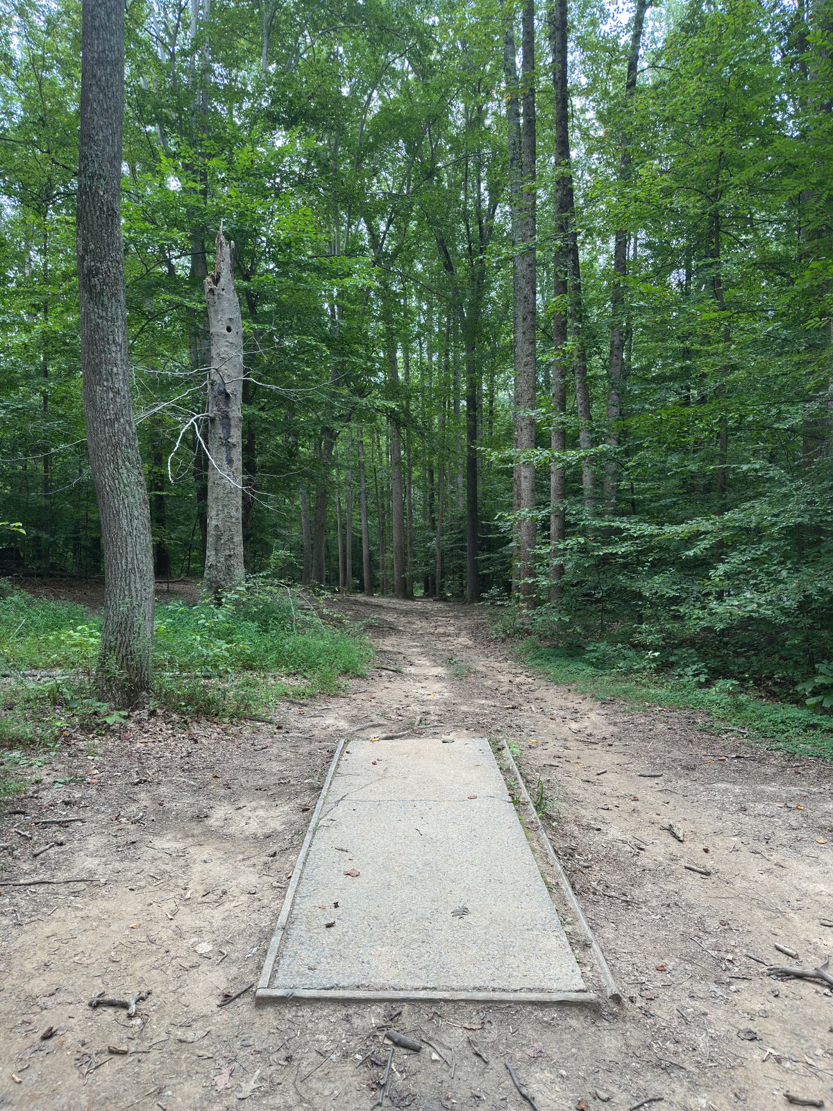 Hole 14 red tee
