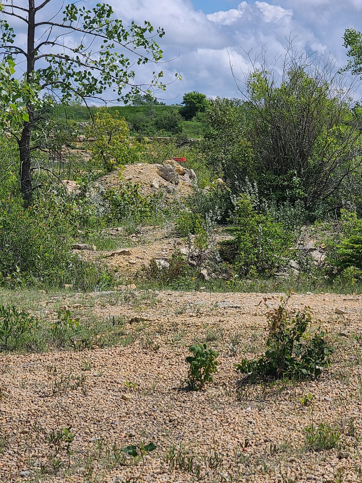 18th basket