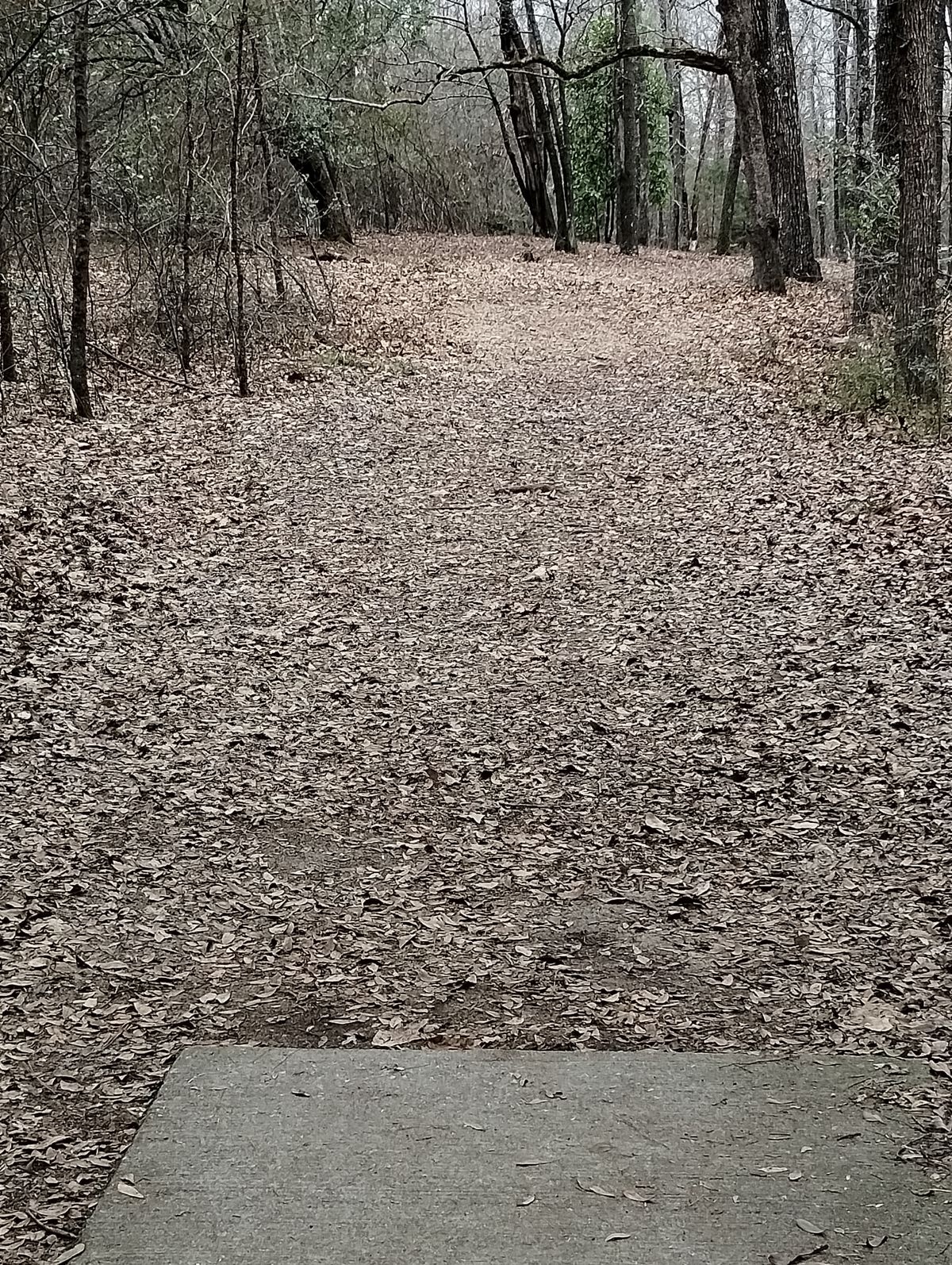 #3 Fairway.