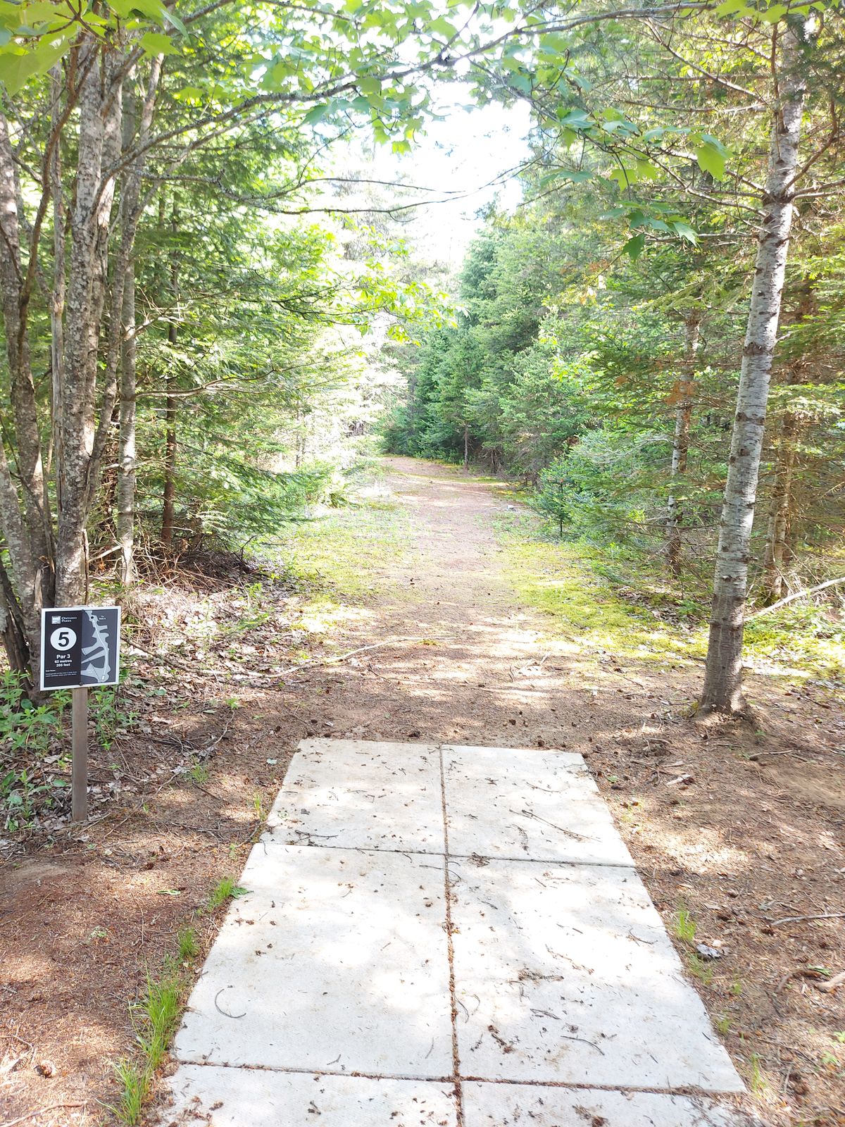 Tee pad 5. 🍁🌲🍁🌲🍁🌲