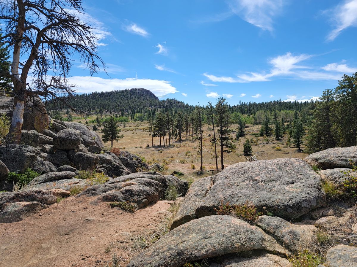 Hole 9 drop off view