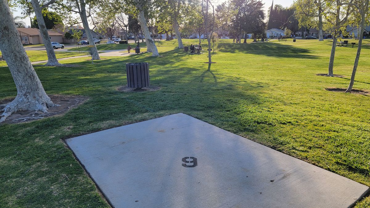 Hole 9 Tee Pad (Officially Numbered)