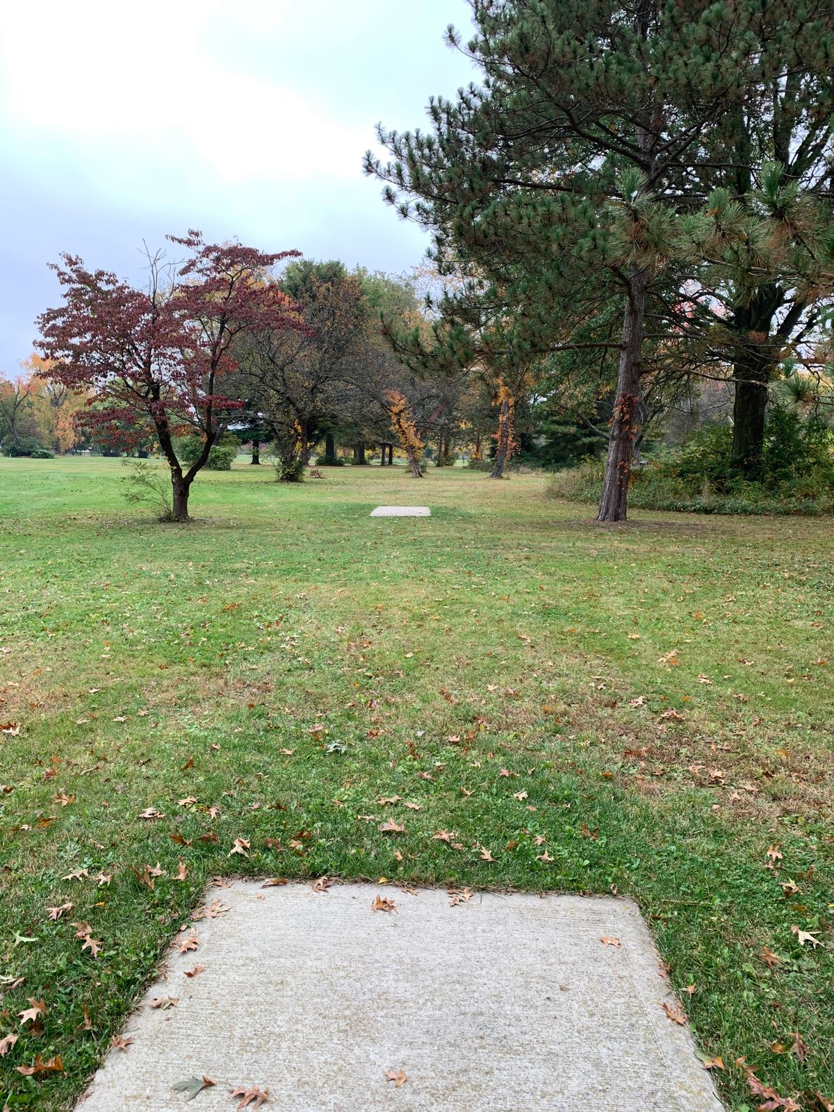 Hole 14 Blue Tee