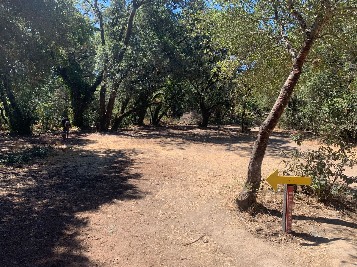 Mando left on hole 15
