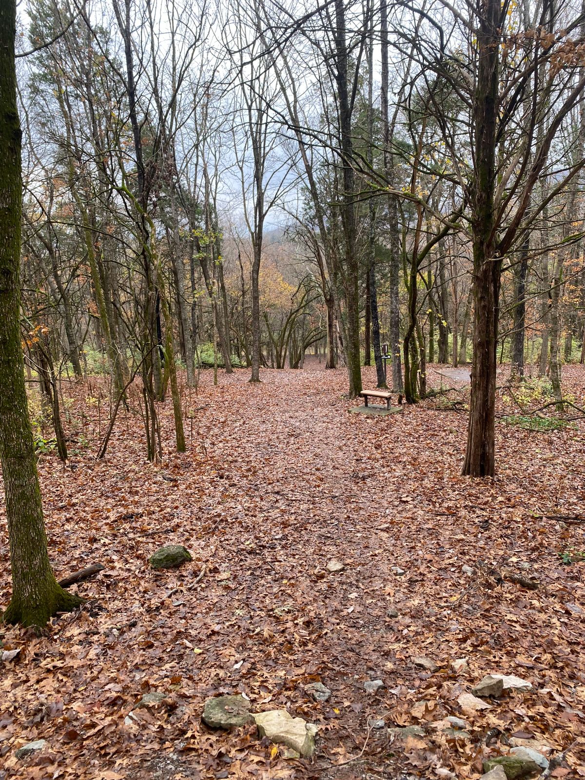Looking down from hole 6’s tee box.