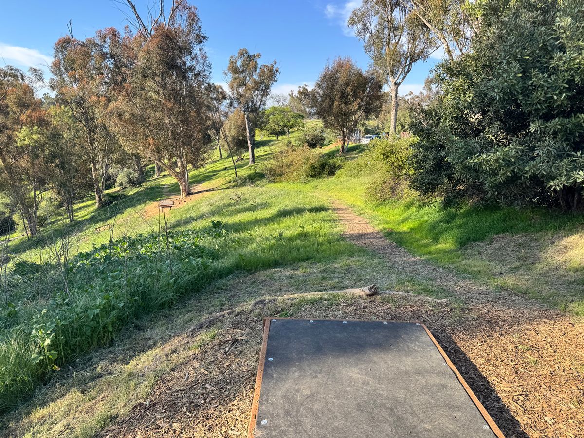 1 tee box