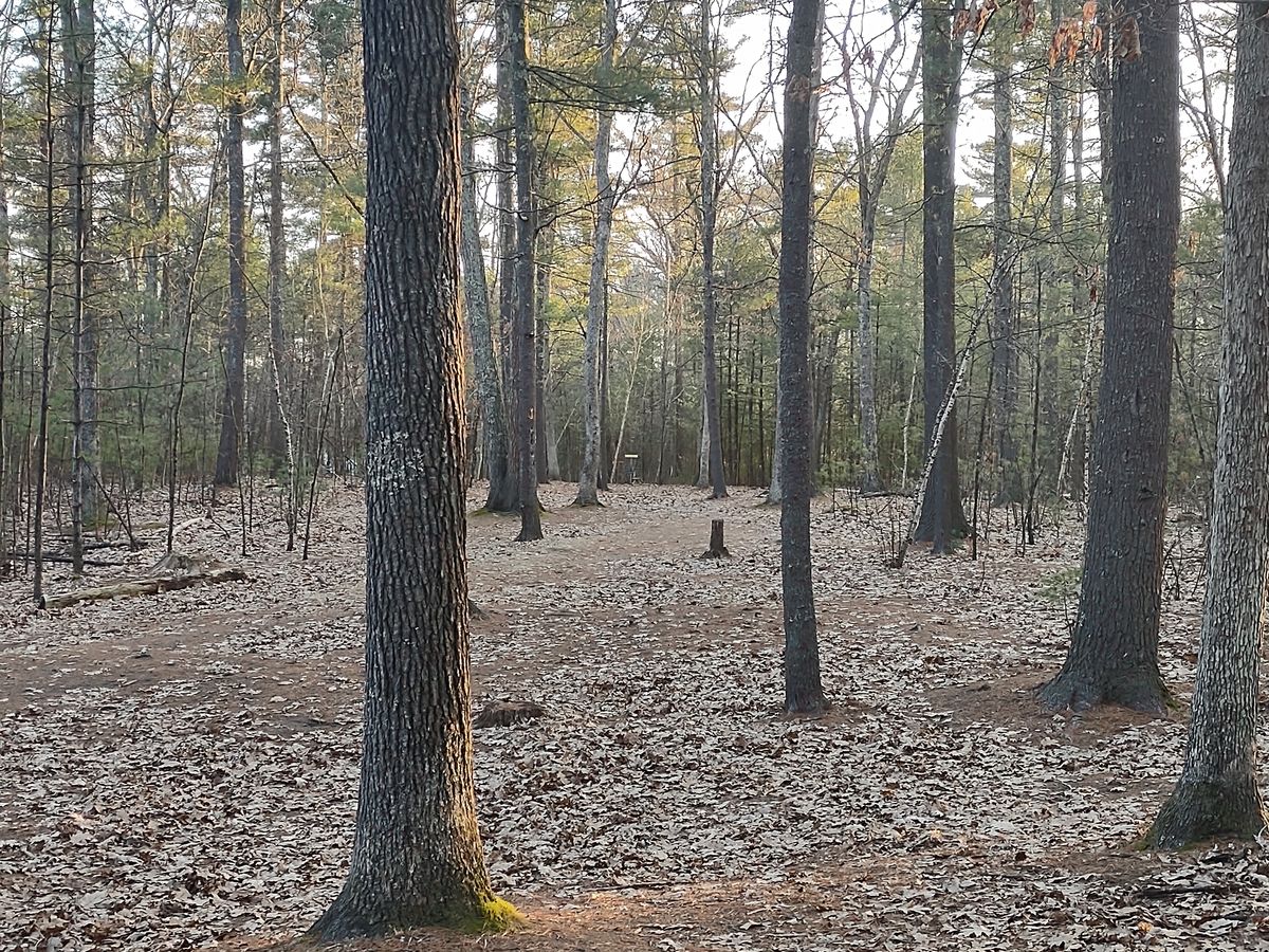 Hole 17 from the landing zone
