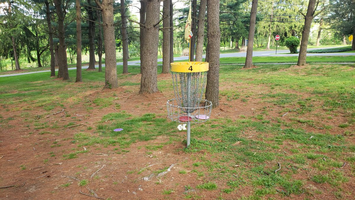 Hole 4 in a nice stand of pines.