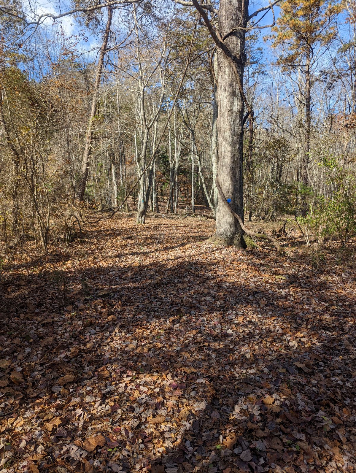 Hole #5