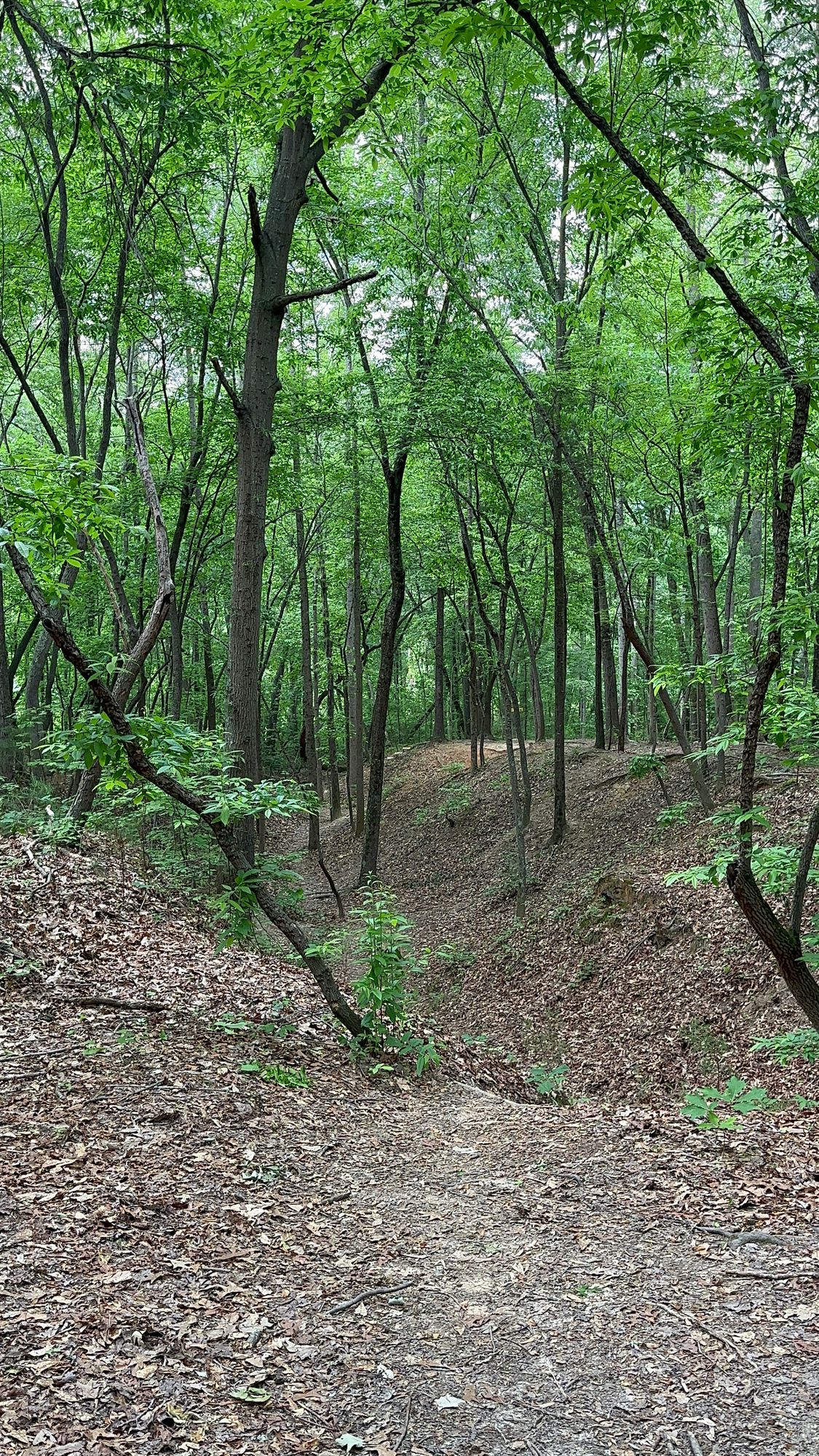 Hole 12.
