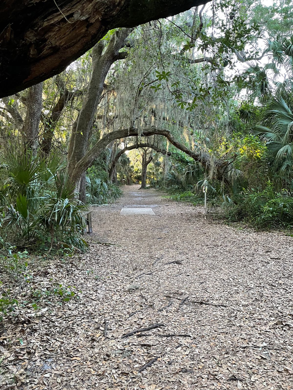 Hole 17