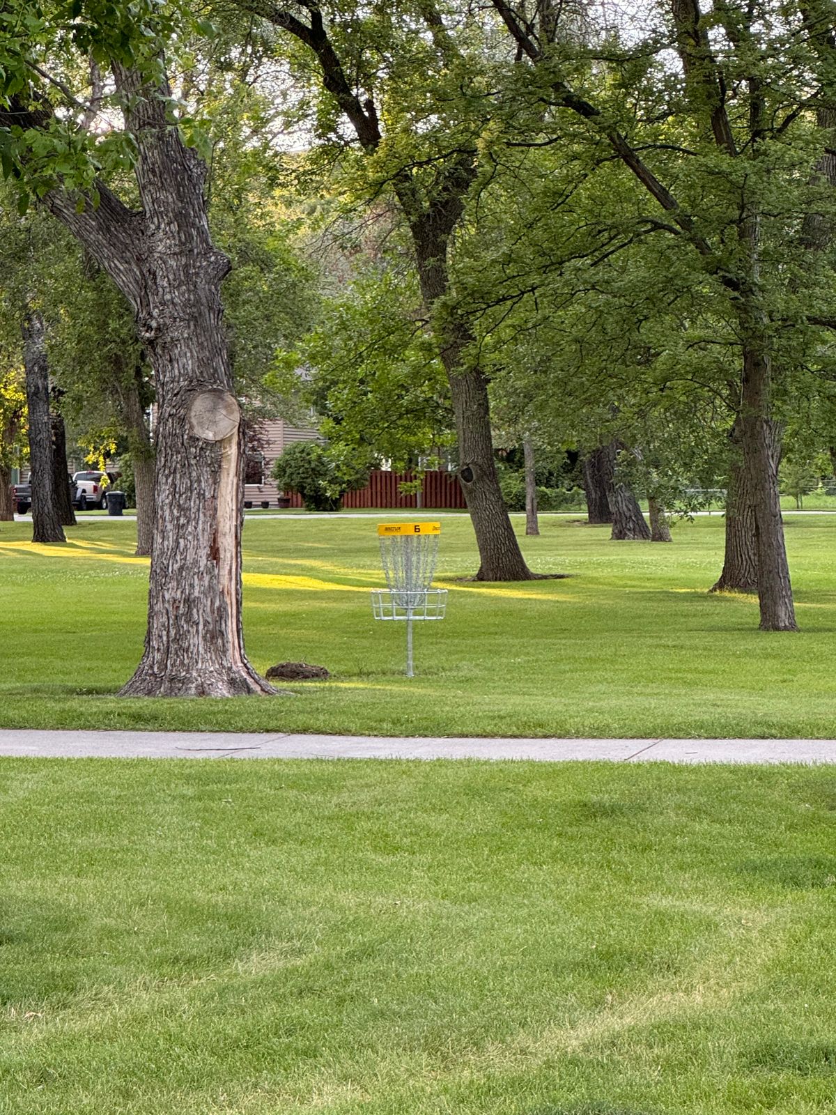 Hole 6 Basket