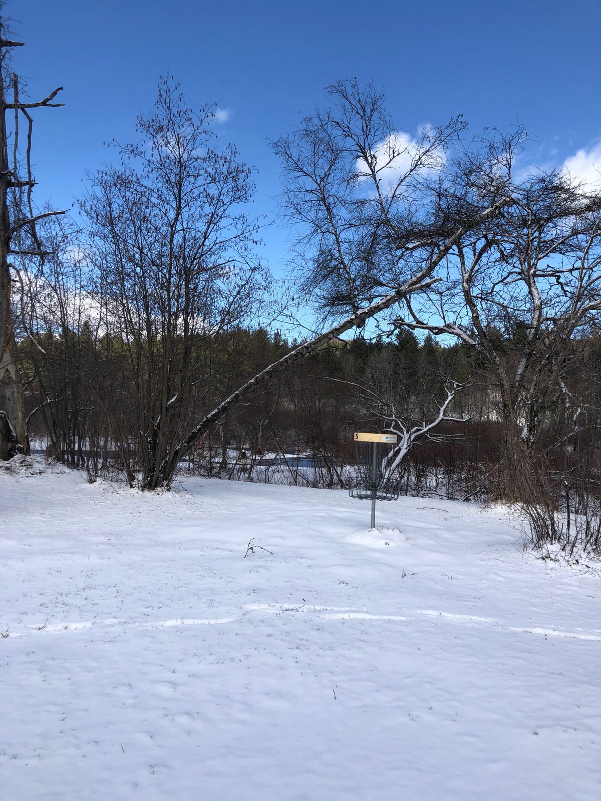 Winter comes yet again after rain and flooding. Crazy spring