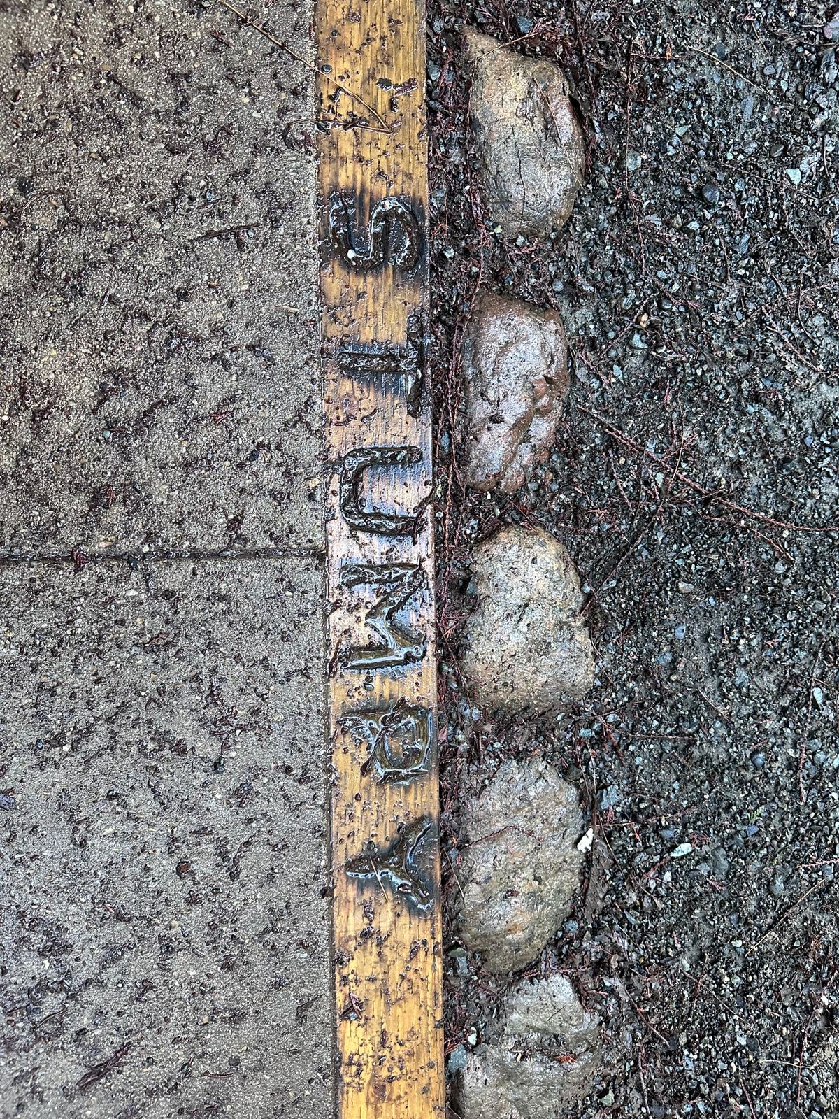 Great detail on the tee pads