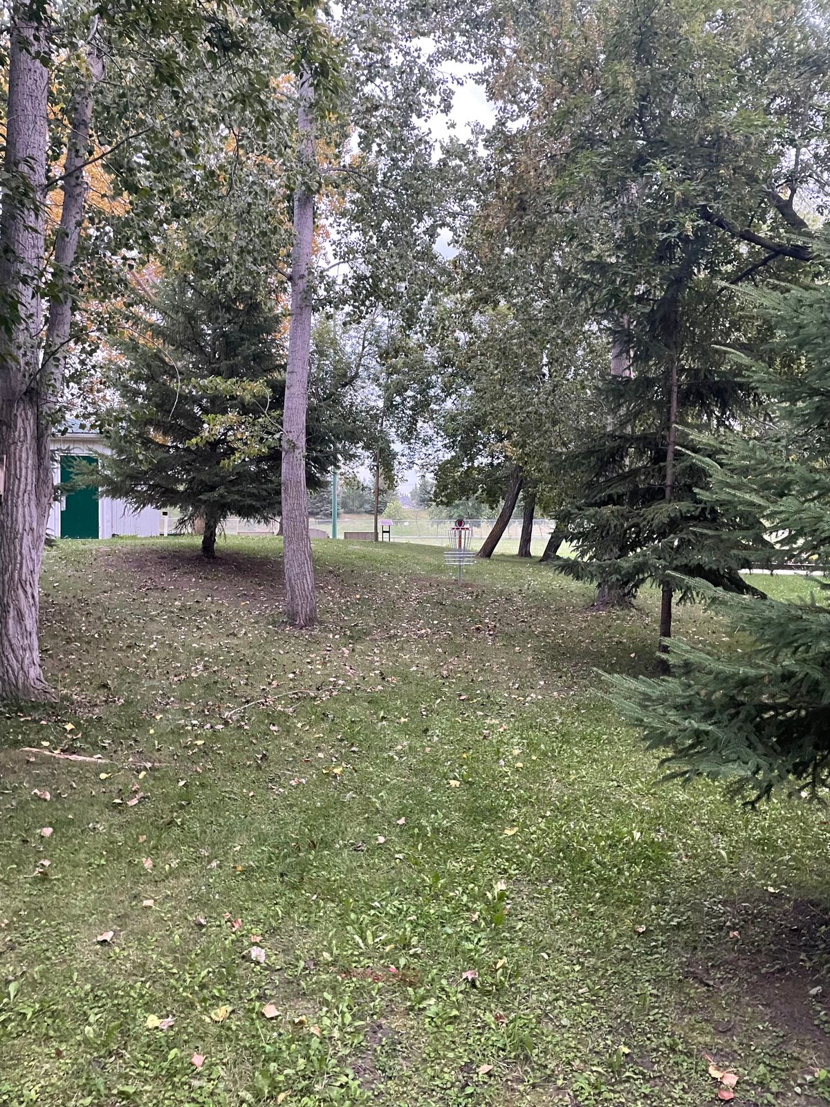 Hole 9 Approach