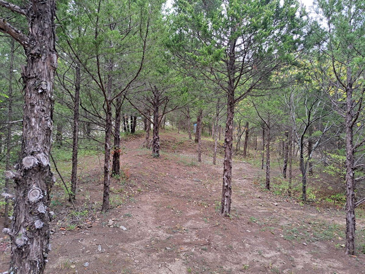 Hole 1 mid fairway