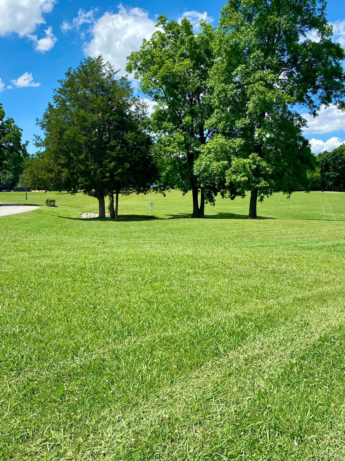 Hole 16, island basket