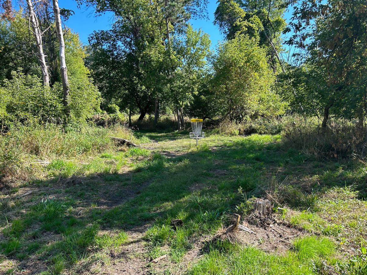 Hole 15