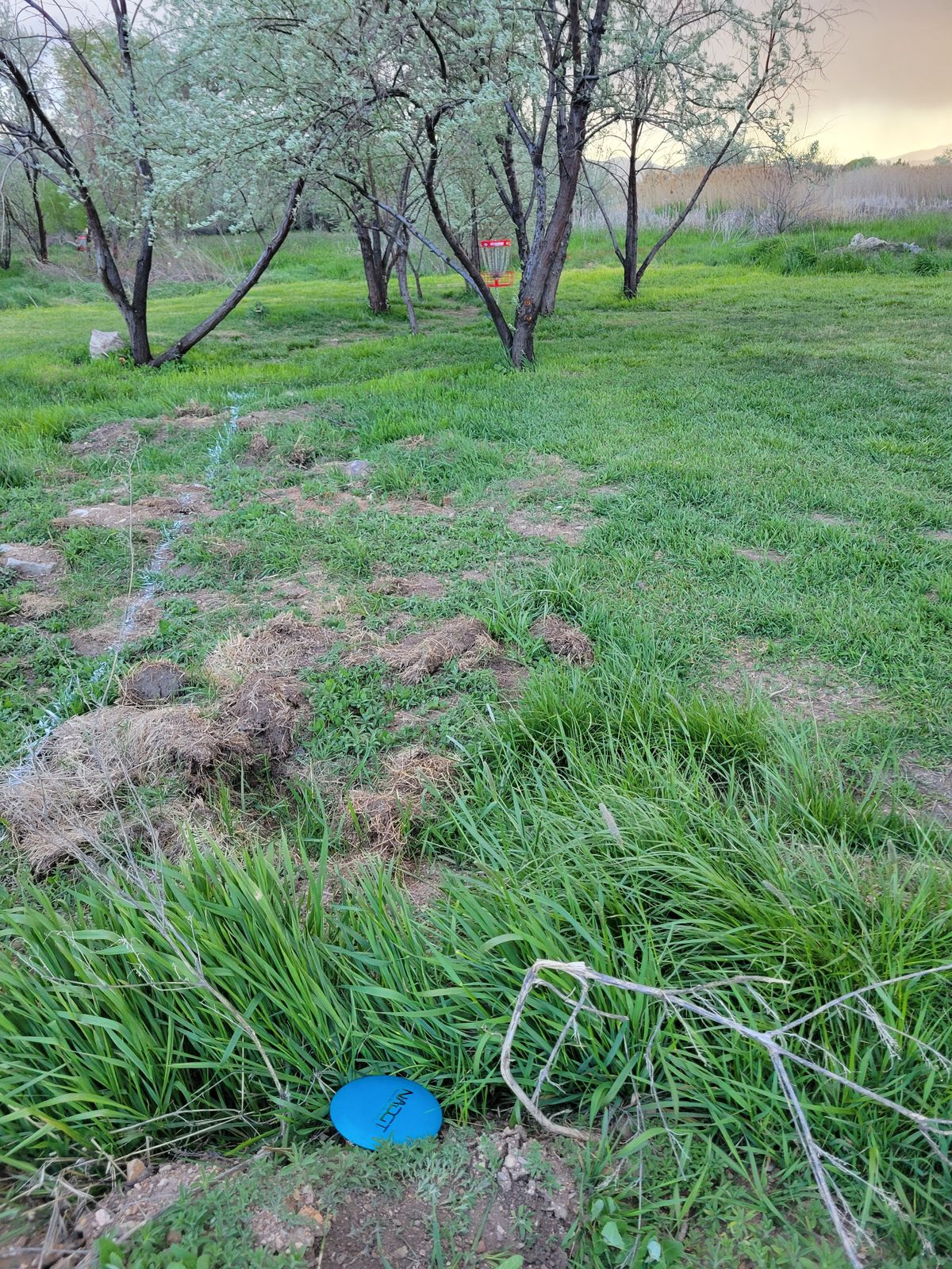 Hole 18