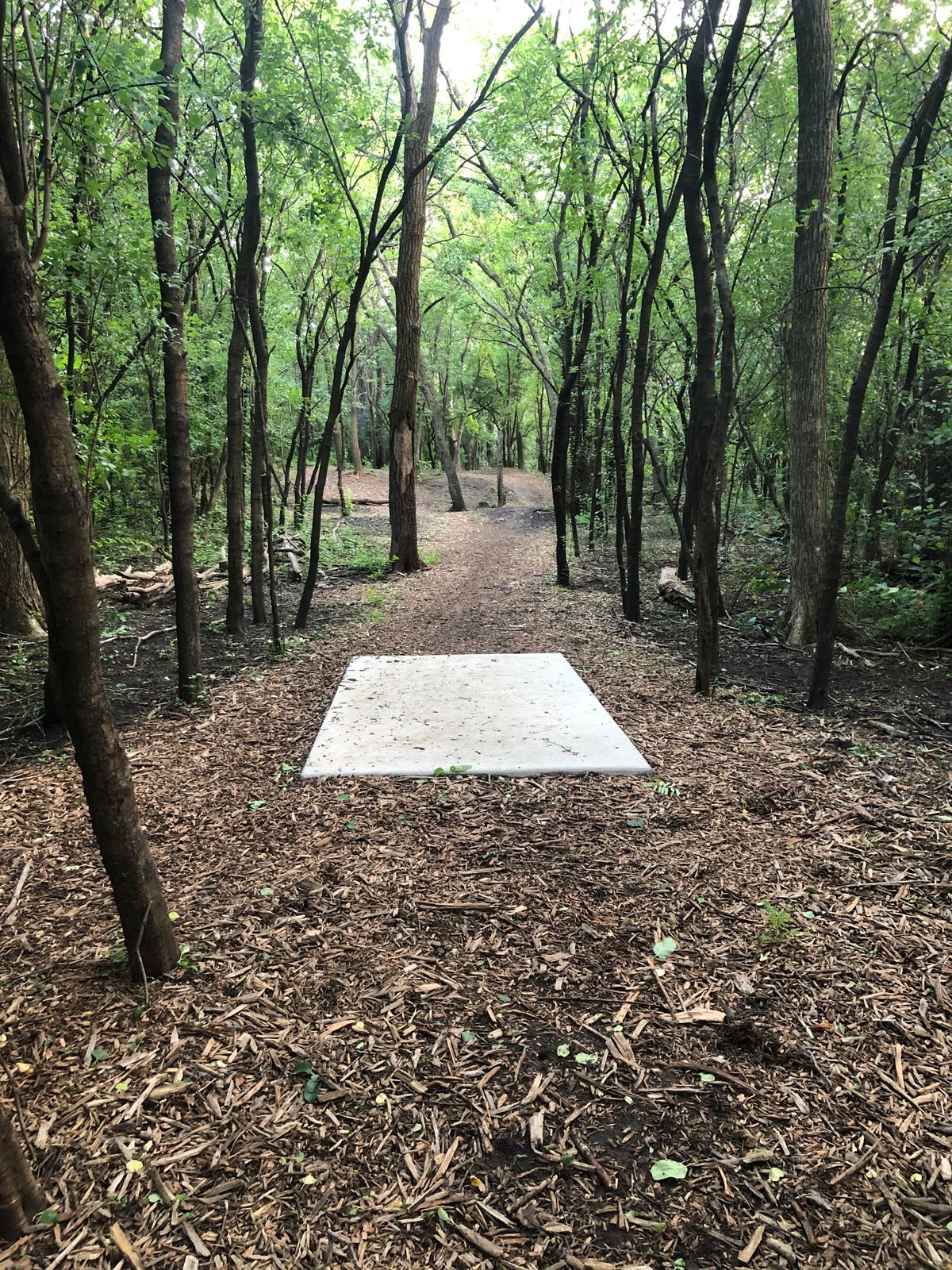 Hole #4 Teepad