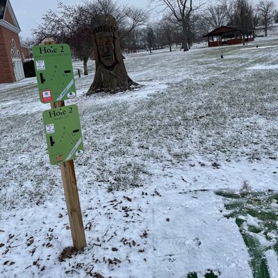 Basket 02 on a snowy day! Nice challenge of 3 trees lined up great for a backhand throw!