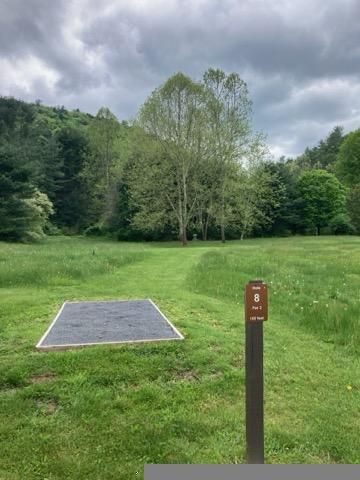 Tee 8