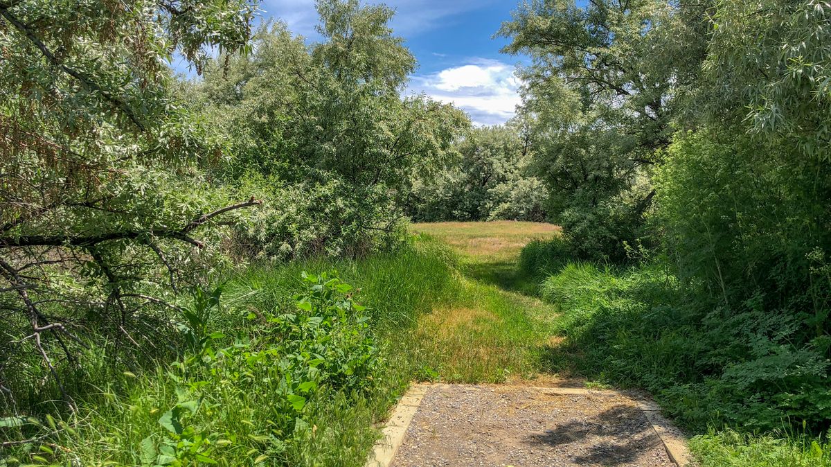Hole 8