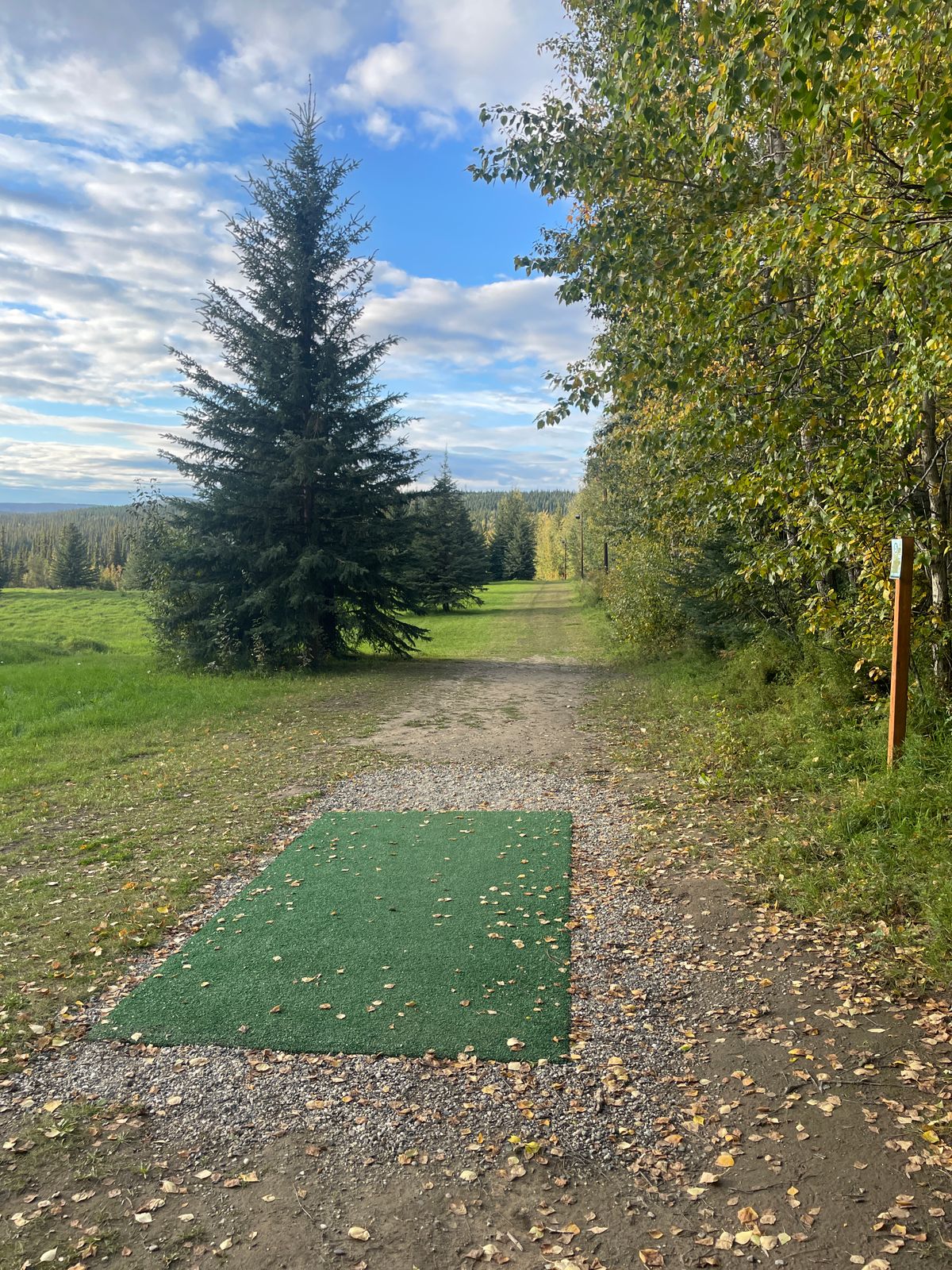 Hole 5 Tee Pad