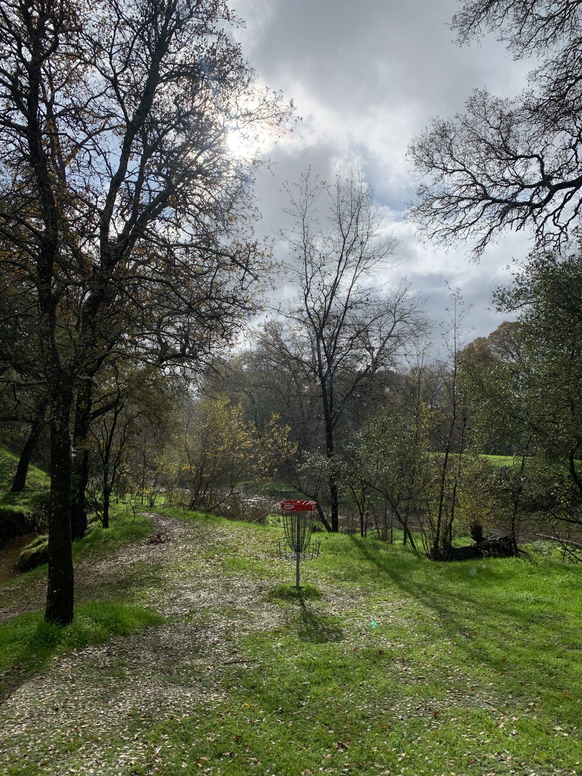 Hole 17, short, in the sun and rain