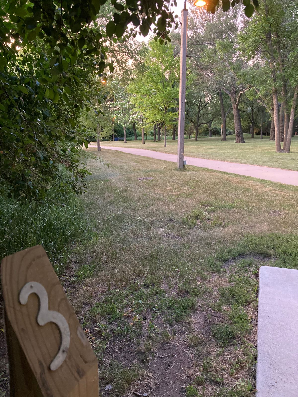 Tee 3, basket uphill left of pole