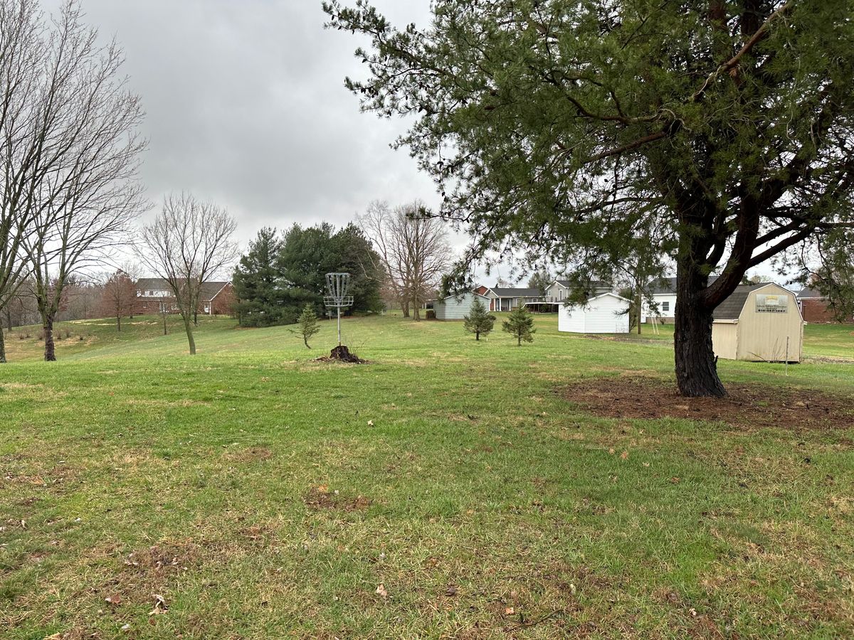 Hole 12 basket from circle 2.