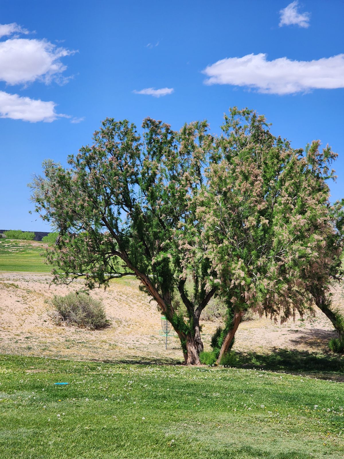 Hole 18