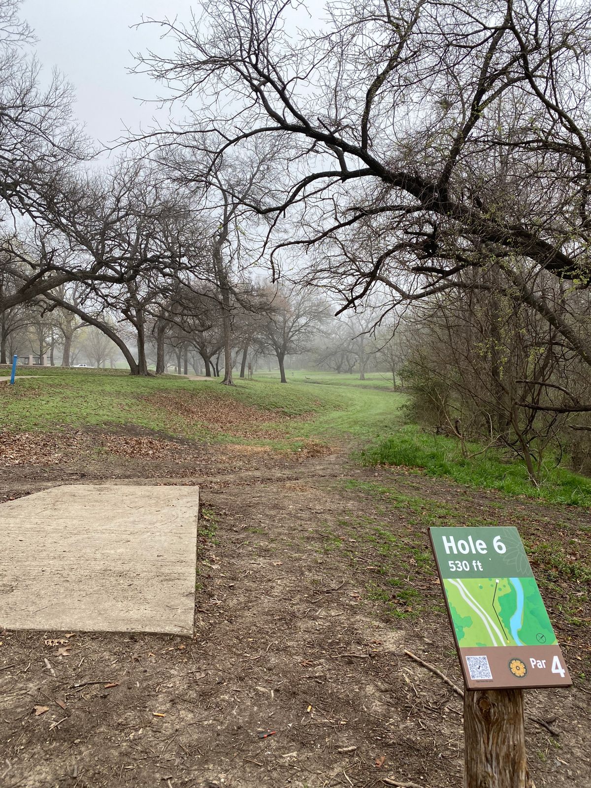 Hole 6’s tee pad