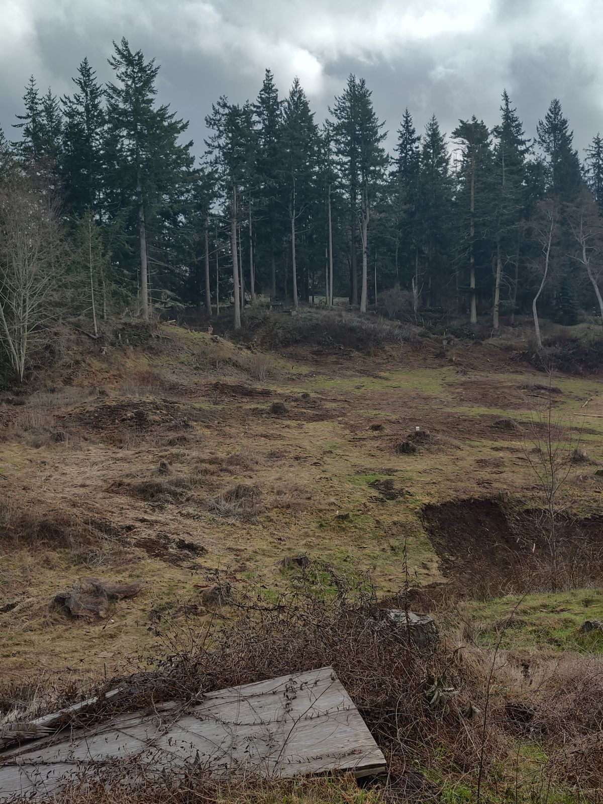 Hole 6