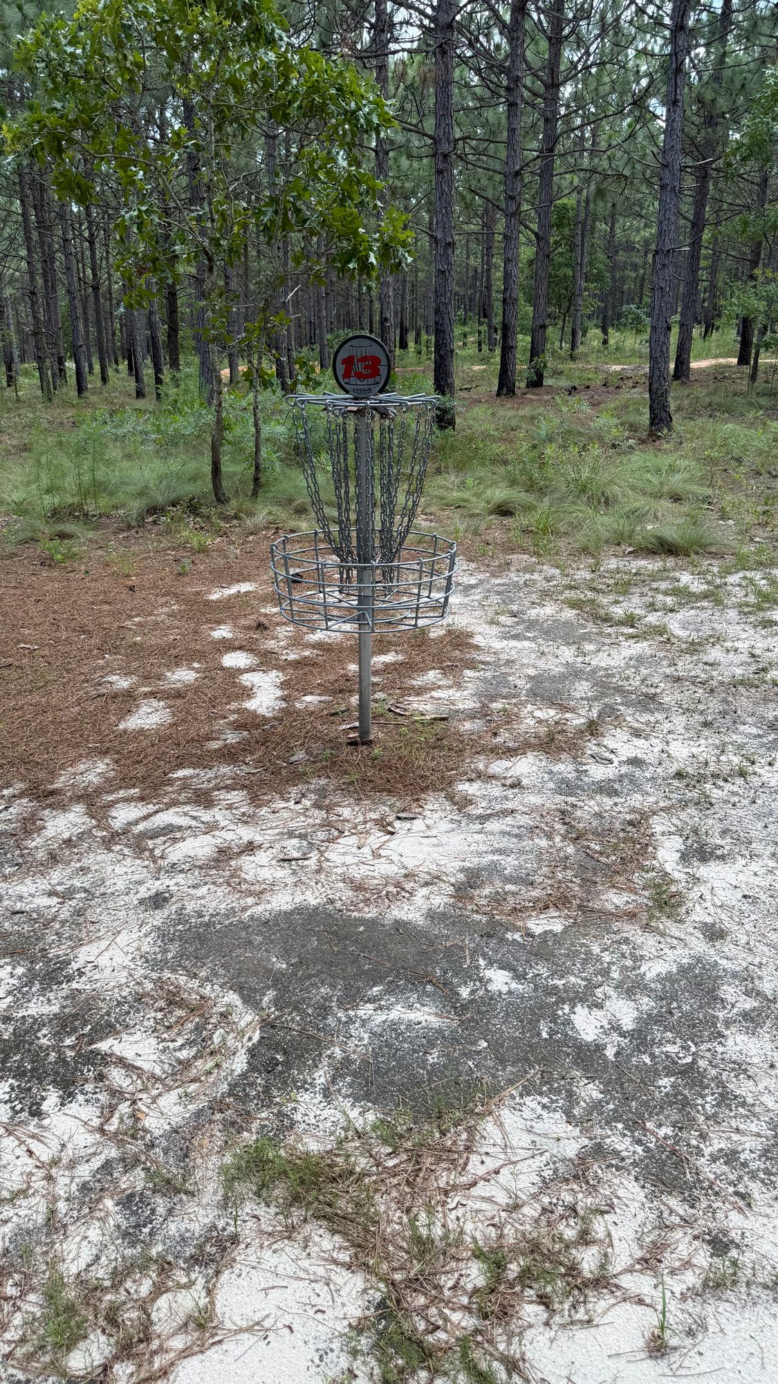 Hole 13 Basket