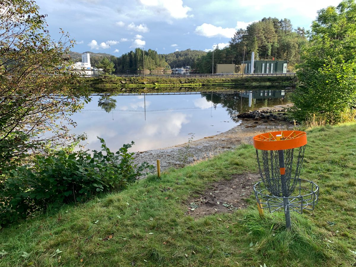 Orange basket ..ved ettermiddagsfjære 🦀