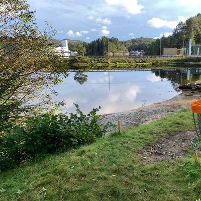 Orange basket ..ved ettermiddagsfjære 🦀