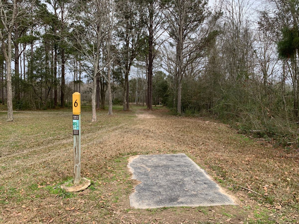Hole 6 Fairway