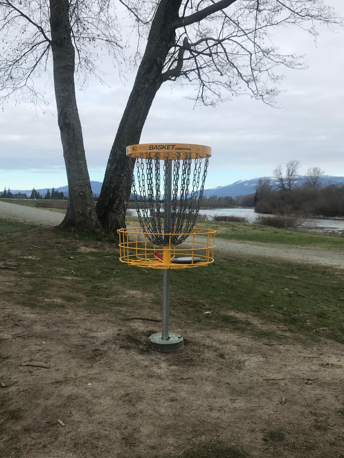 Hole14 , whitemarsh