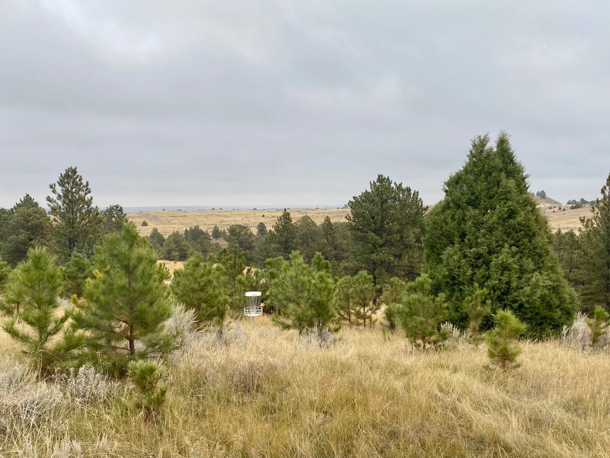 Hole 10 A pin